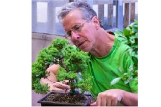 Spring Bonsai Care: Online